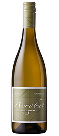 2024 Acrobat Pinot Gris, Oregon