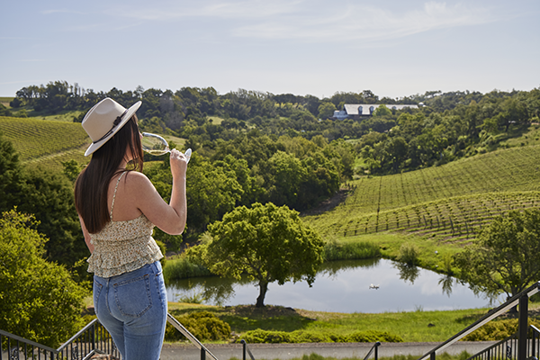 Sip & Stay Healdsburg - Single Occupancy