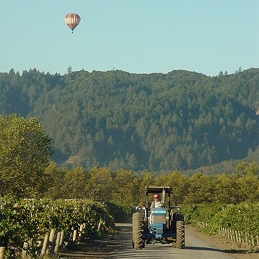 a tractor driving through the lush vineyards with tree covered mountains and a hot air balloon in the background