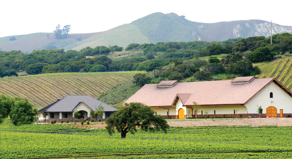 View of Foley Estates vineyards with lush green fields, tree-covered hills, and a mountain range in the distance.