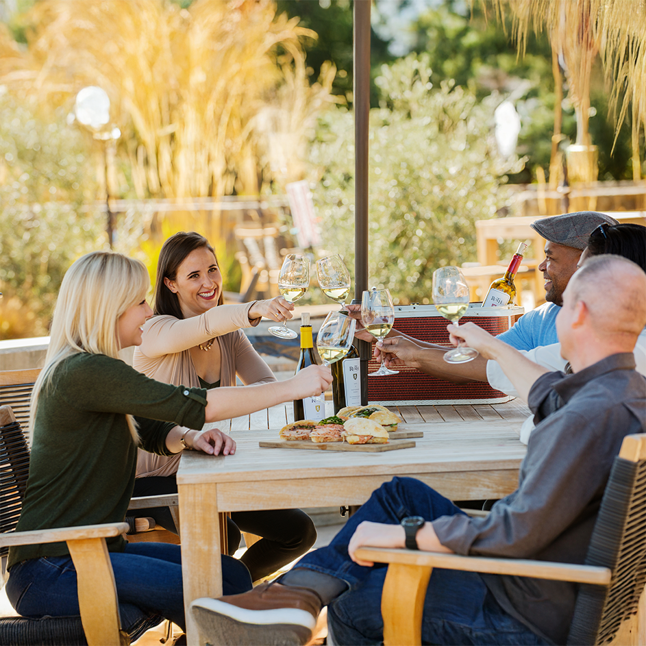 Group of friends toasting with wine glasses at an outdoor table