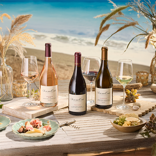 Three bottles of wine on a beach picnic table with poured wine, charcuterie, and coastal vegetation near Sonoma Coast vineyards