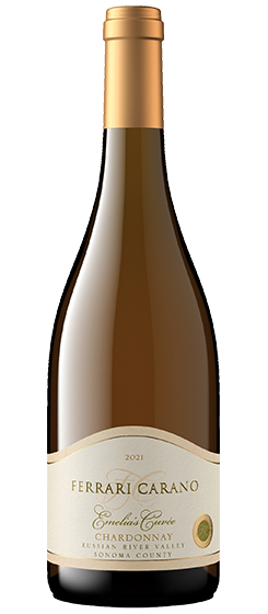 ミエイケノChardonnay 2021 750ml ミエイケノChardonnay 2021 750ml 飲料・酒
